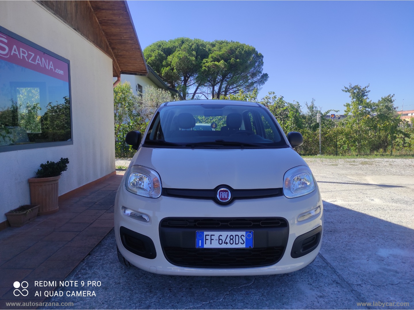 Panda 1.2 Pandazzurri - immagine 2