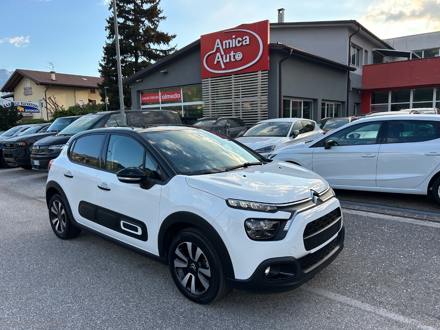 C3 PureTech 83 S&S Shine VERNICE BICOLORE - BIANCO/TETTO NERO - immagine 2