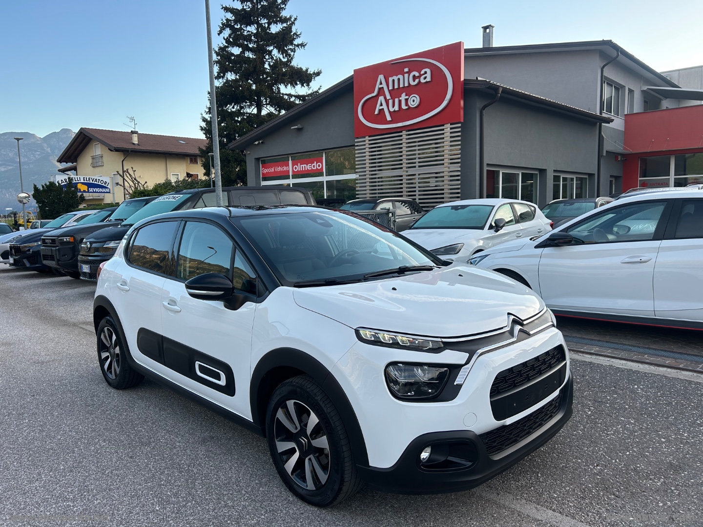 C3 PureTech 83 S&S Shine VERNICE BICOLORE - BIANCO/TETTO NERO - immagine 2