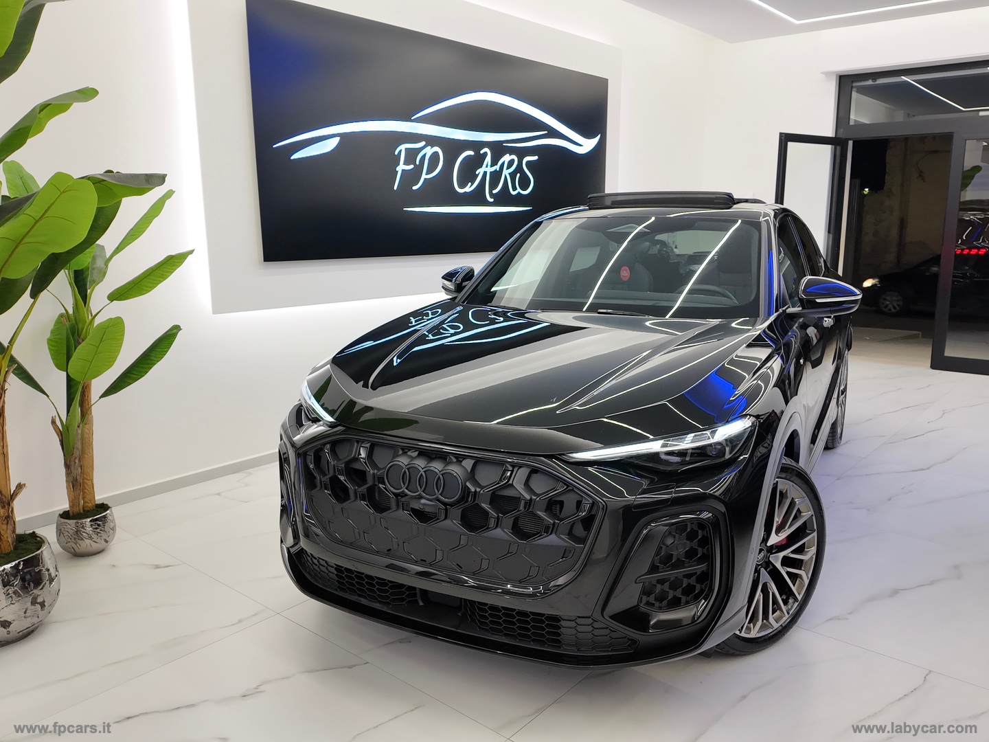 Q5 SPB TDi S tronic quattro S line ed. TETTO APRIB. - immagine 2