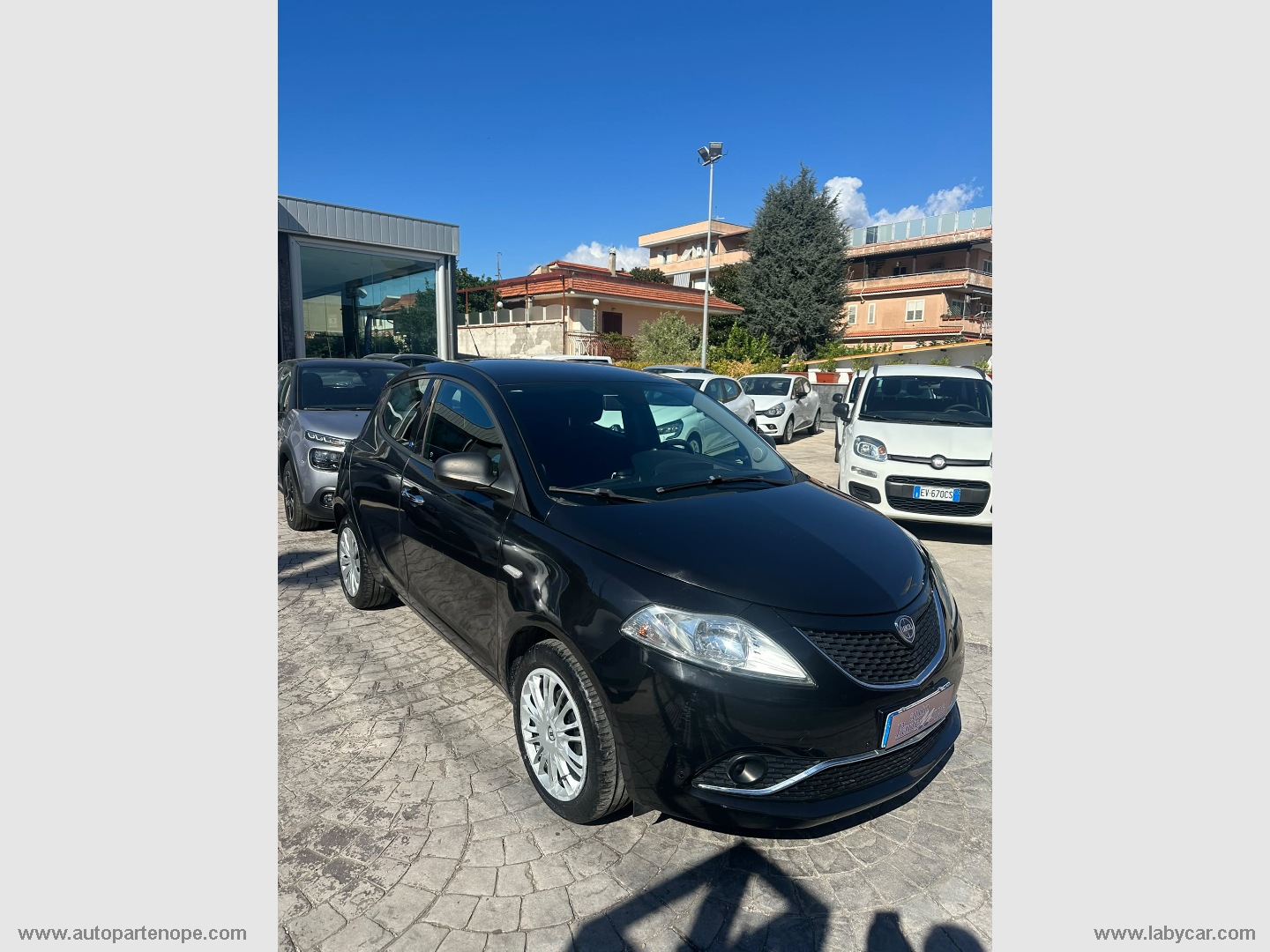 Ypsilon 1.2 69 CV 5p. Elefantino Blu - immagine 2