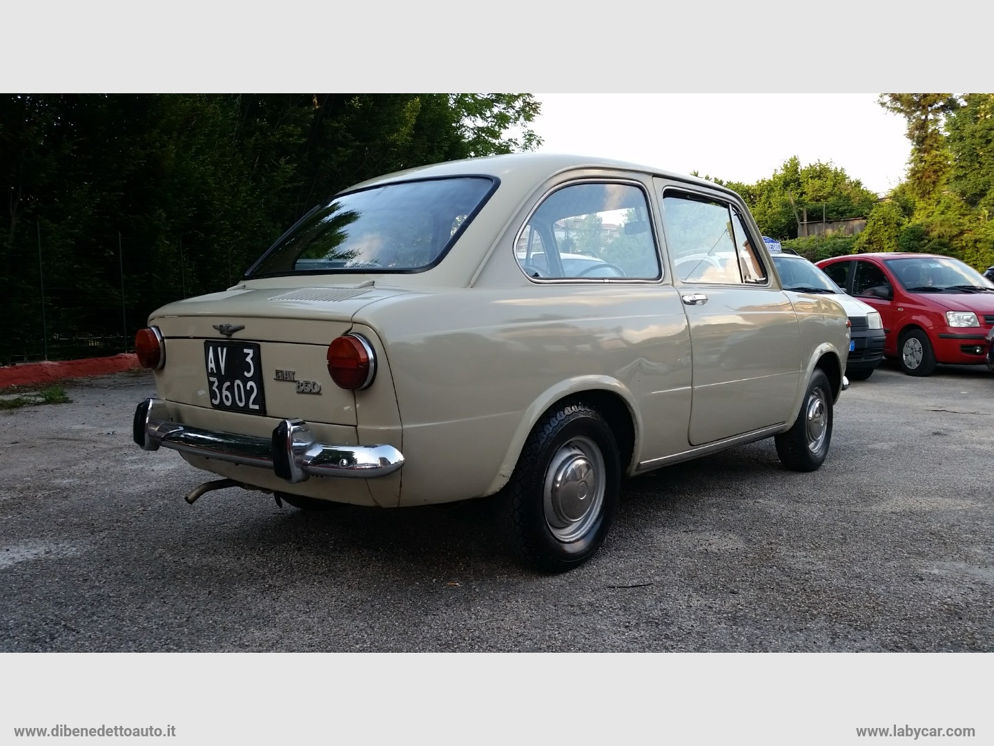 850 - immagine 2
