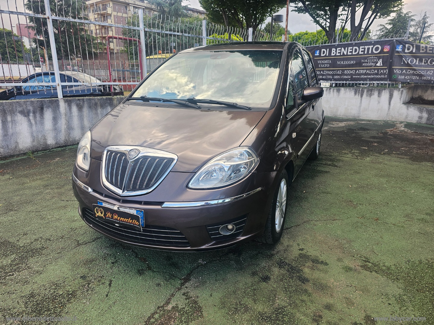 Musa 1.4 Oro Plus Ecochic GPL - immagine 2