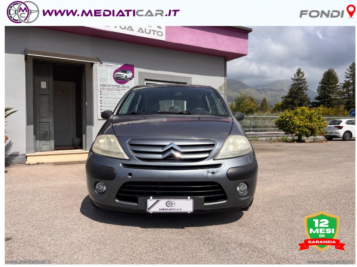 C3 1.1 Classique - immagine 2