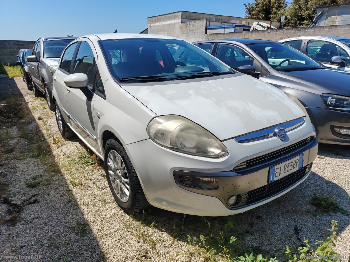 Punto Evo 1.4 5p. Active GPL - immagine 2