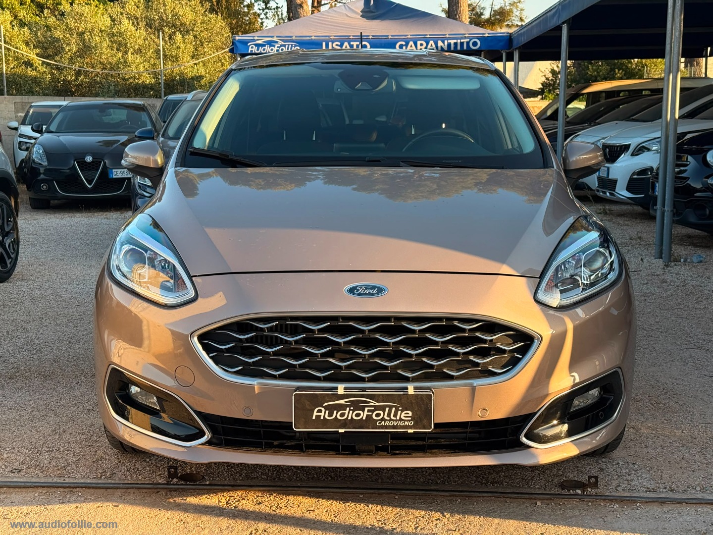 Fiesta 1.5 EcoBlue 120 CV 5p. Vignale - immagine 2