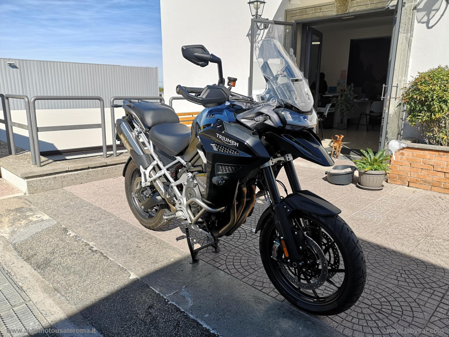 Tiger 1200 GT EXPLORER PROMO WEB - immagine 2