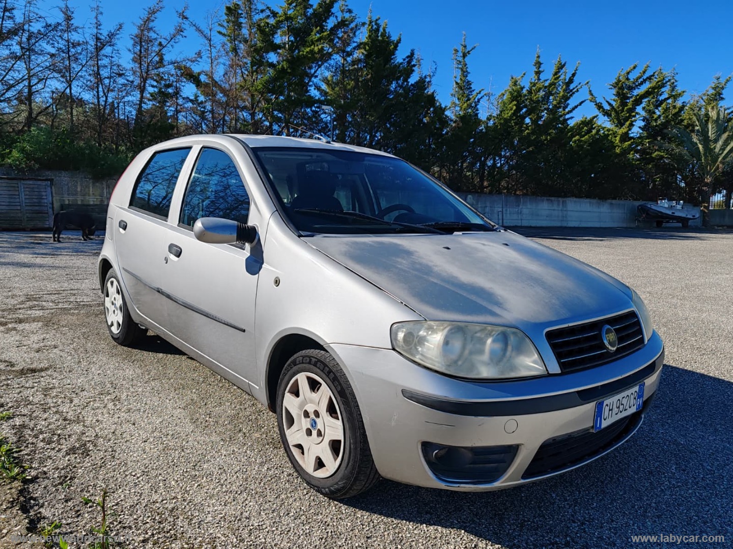 Punto 1.3 MJT 16V 5p. Dynamic - immagine 2