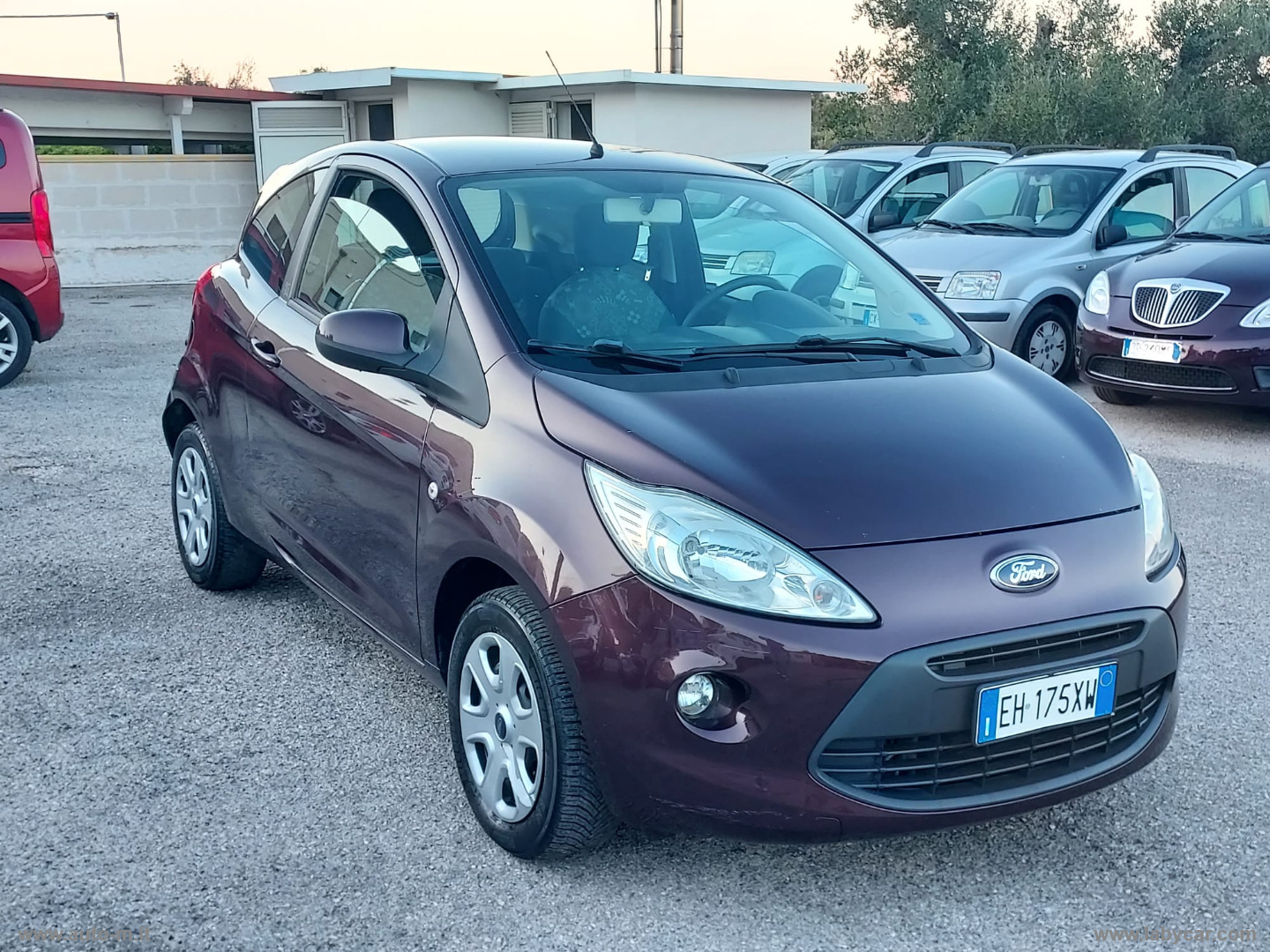 Ka+ 1.3 TDCi 75 CV Titanium - immagine 2