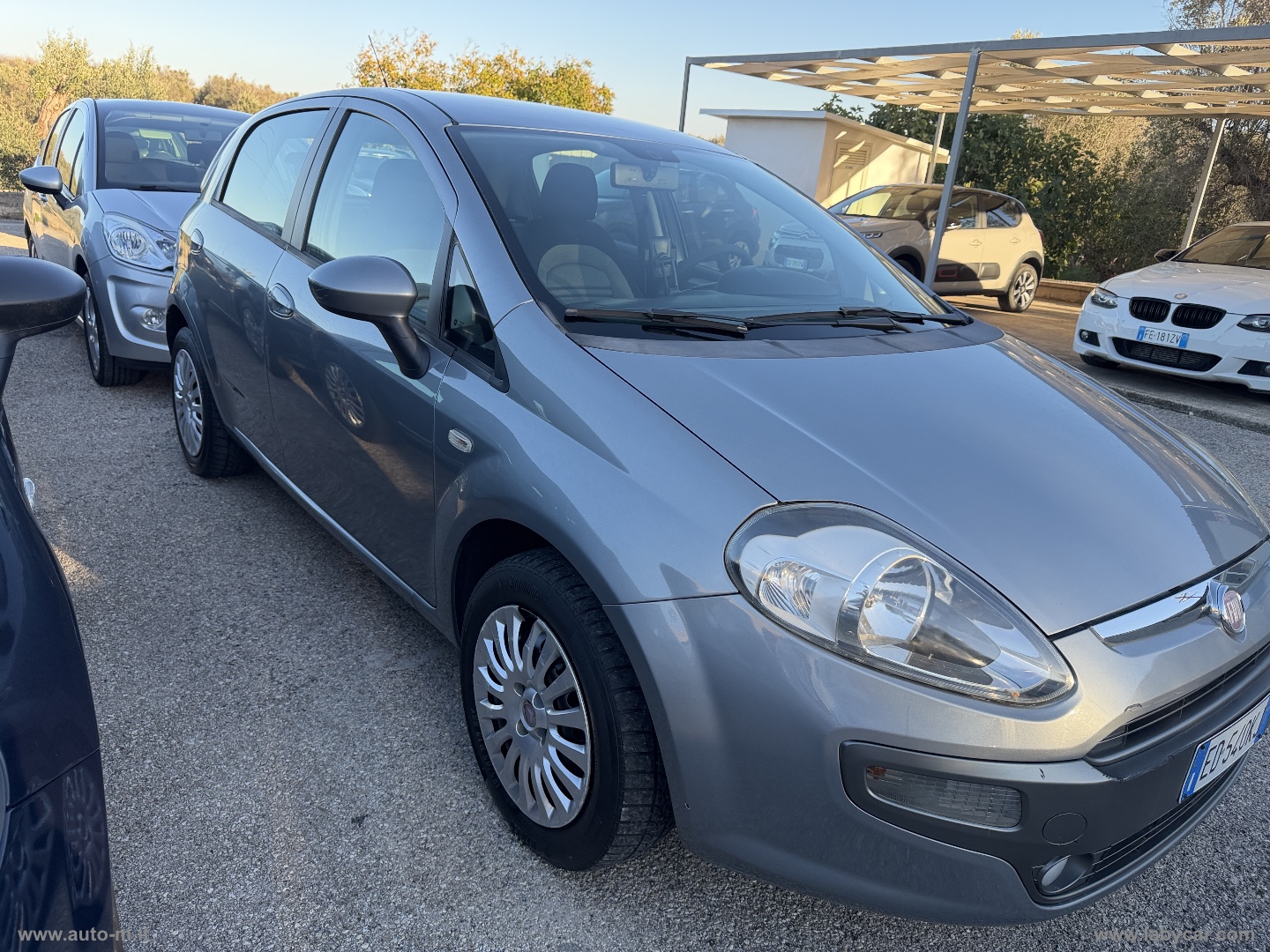 Punto Evo 1.2 5p. Dynamic - immagine 2