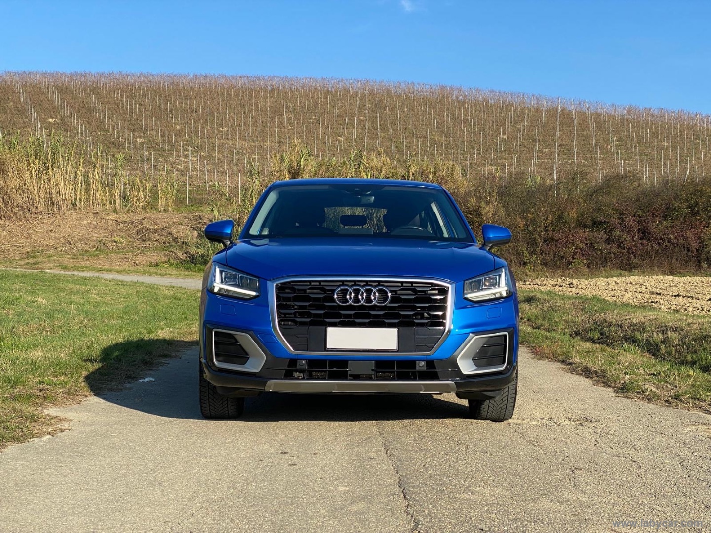Q2 30 TDI S tronic Business Design - immagine 2