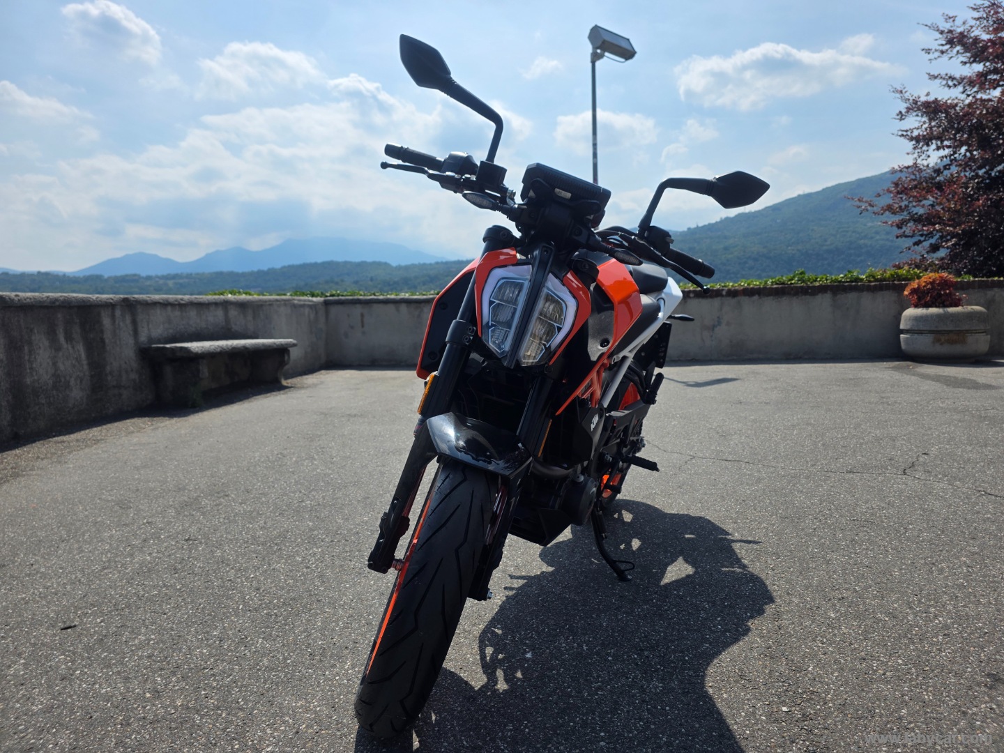 390 Duke - immagine 2