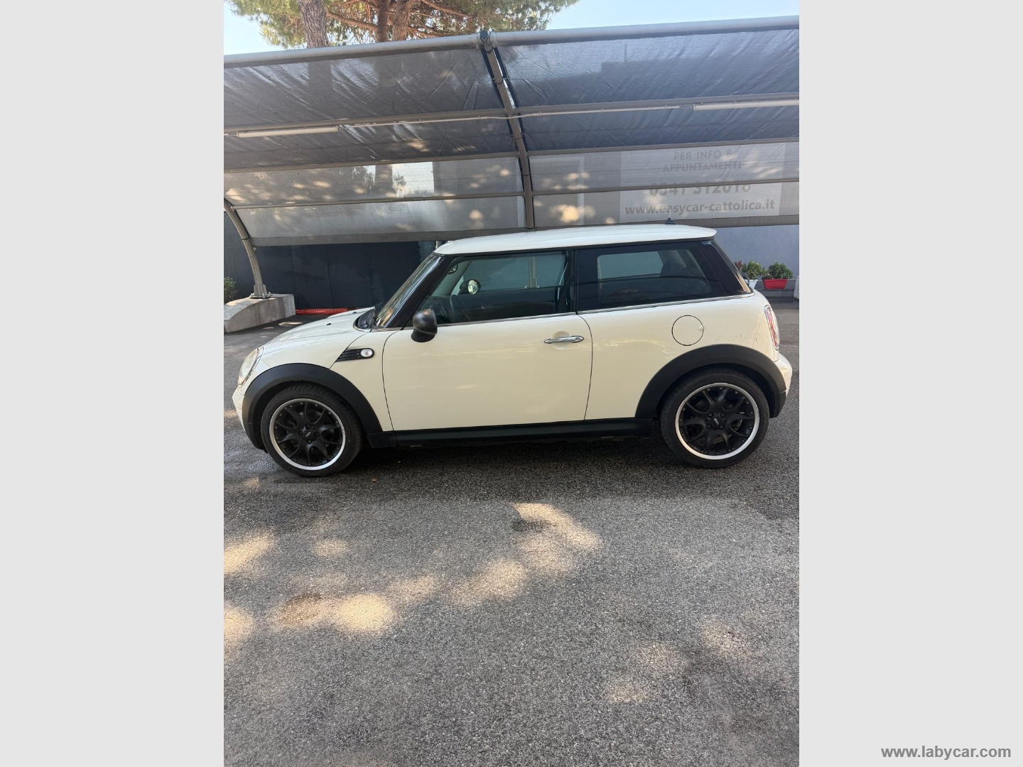 Mini Ray - immagine 2