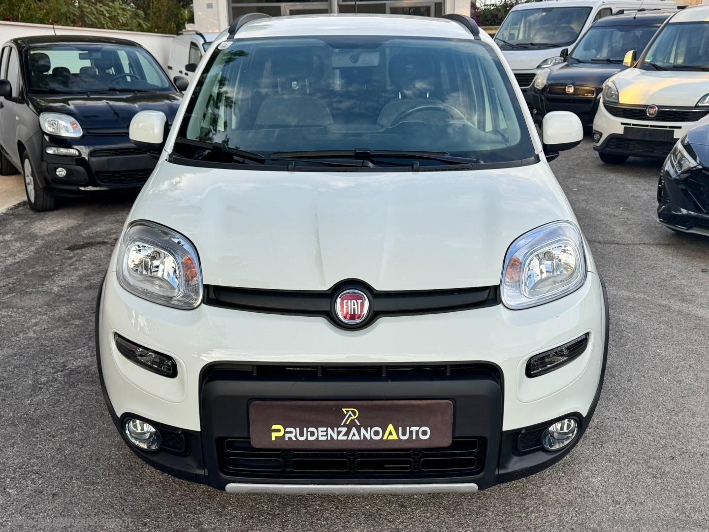 Panda 1.0 FireFly S&S Hybrid City Life - immagine 2