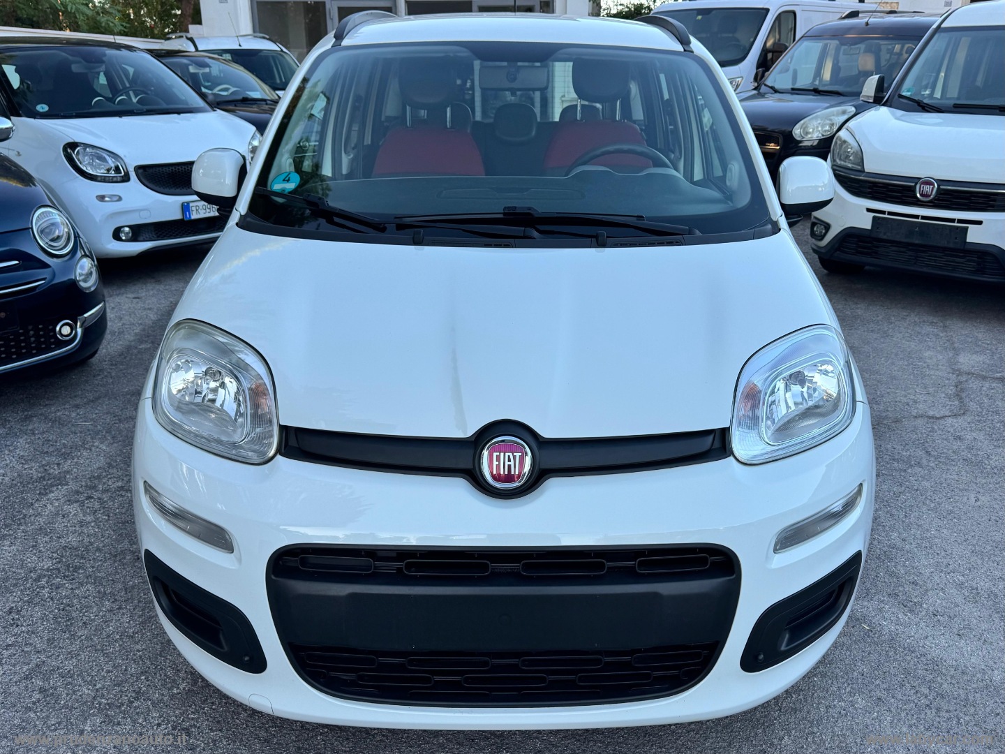 Panda 1.2 Easy - 2013 - immagine 2