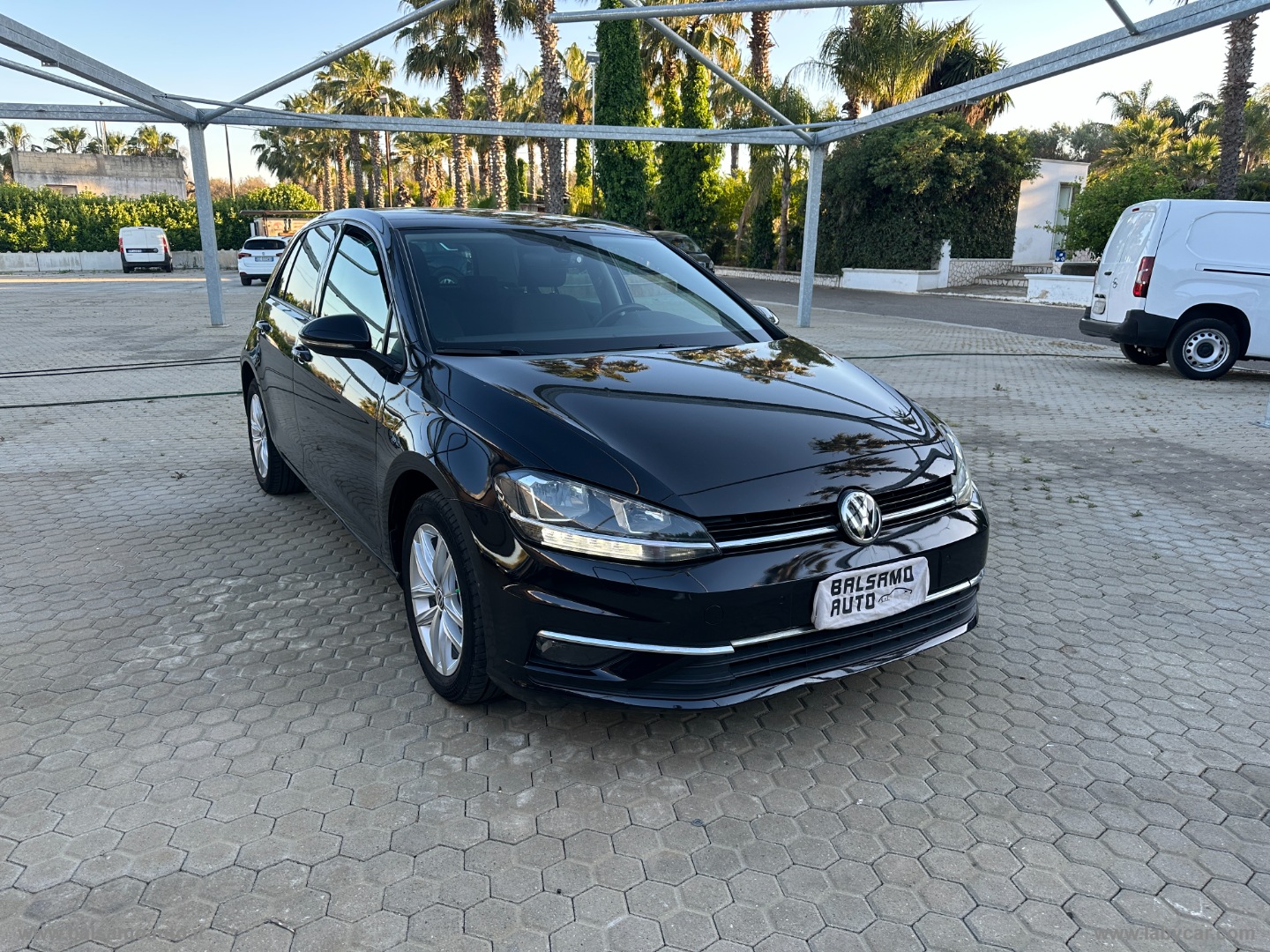 Golf 1.6 TDI 115CV 5p. Business BMT - immagine 3