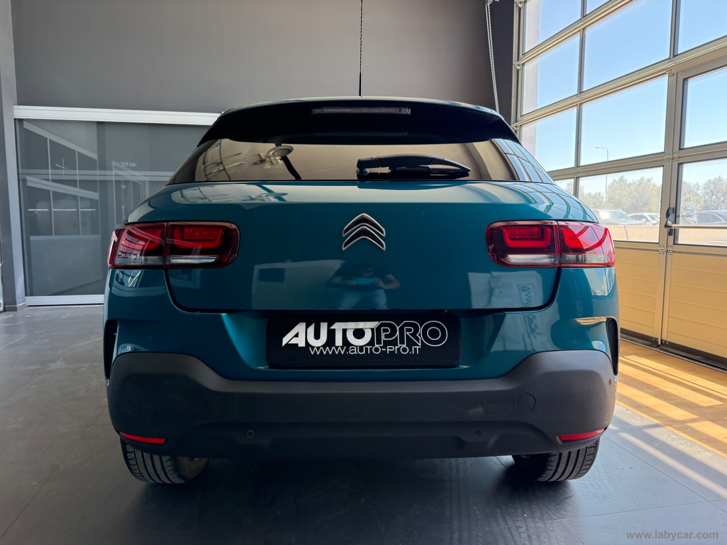 C4 Cactus BlueHDi 100 S&S Shine - immagine 3