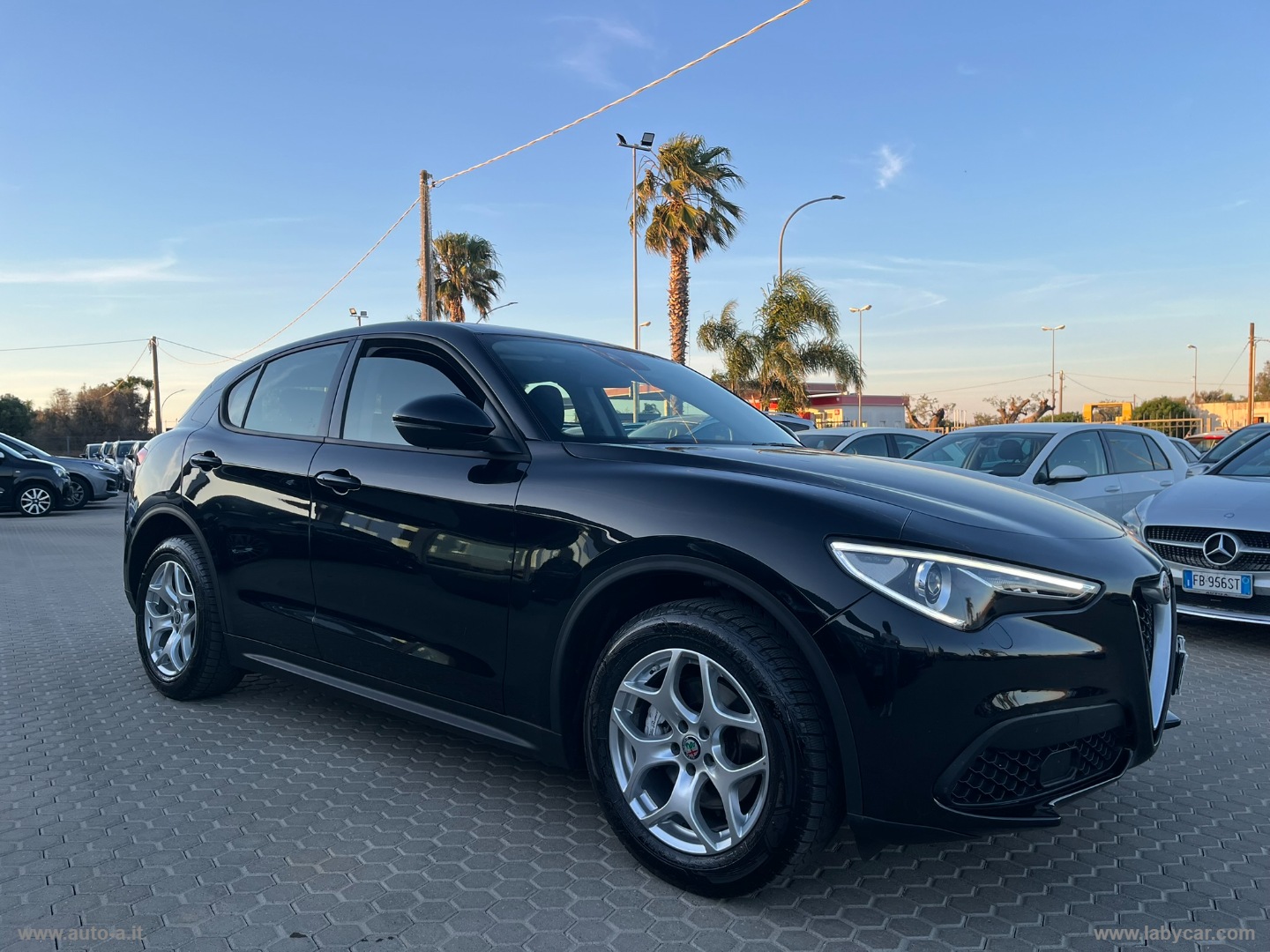 Stelvio 2.2 T.diesel 190 CV AT8 Q4 BUSINESS - immagine 3