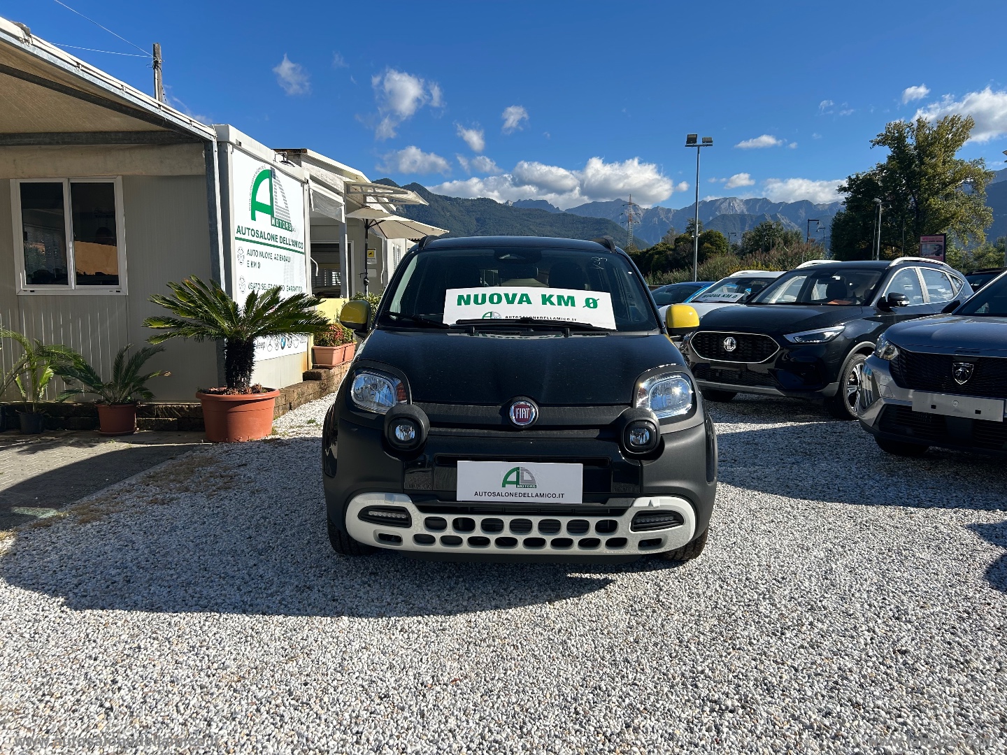 Img Particolare 02