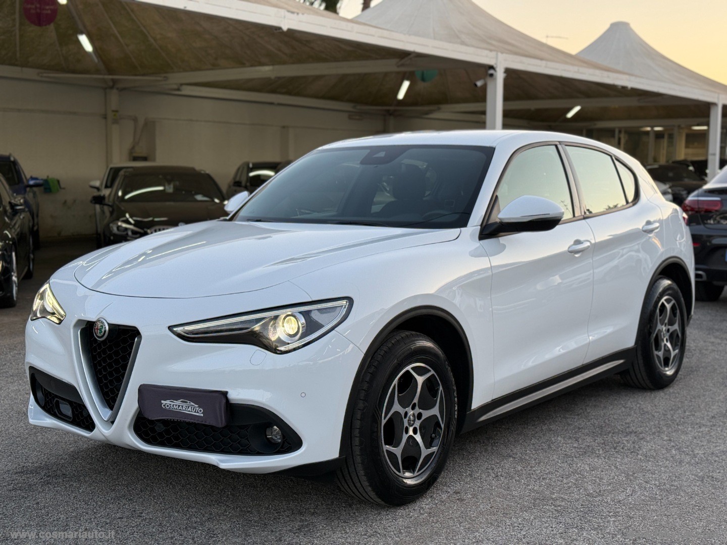 Stelvio 2.2 T.d. 190 CV AT8 Q4 Sup. Bus. - immagine 3