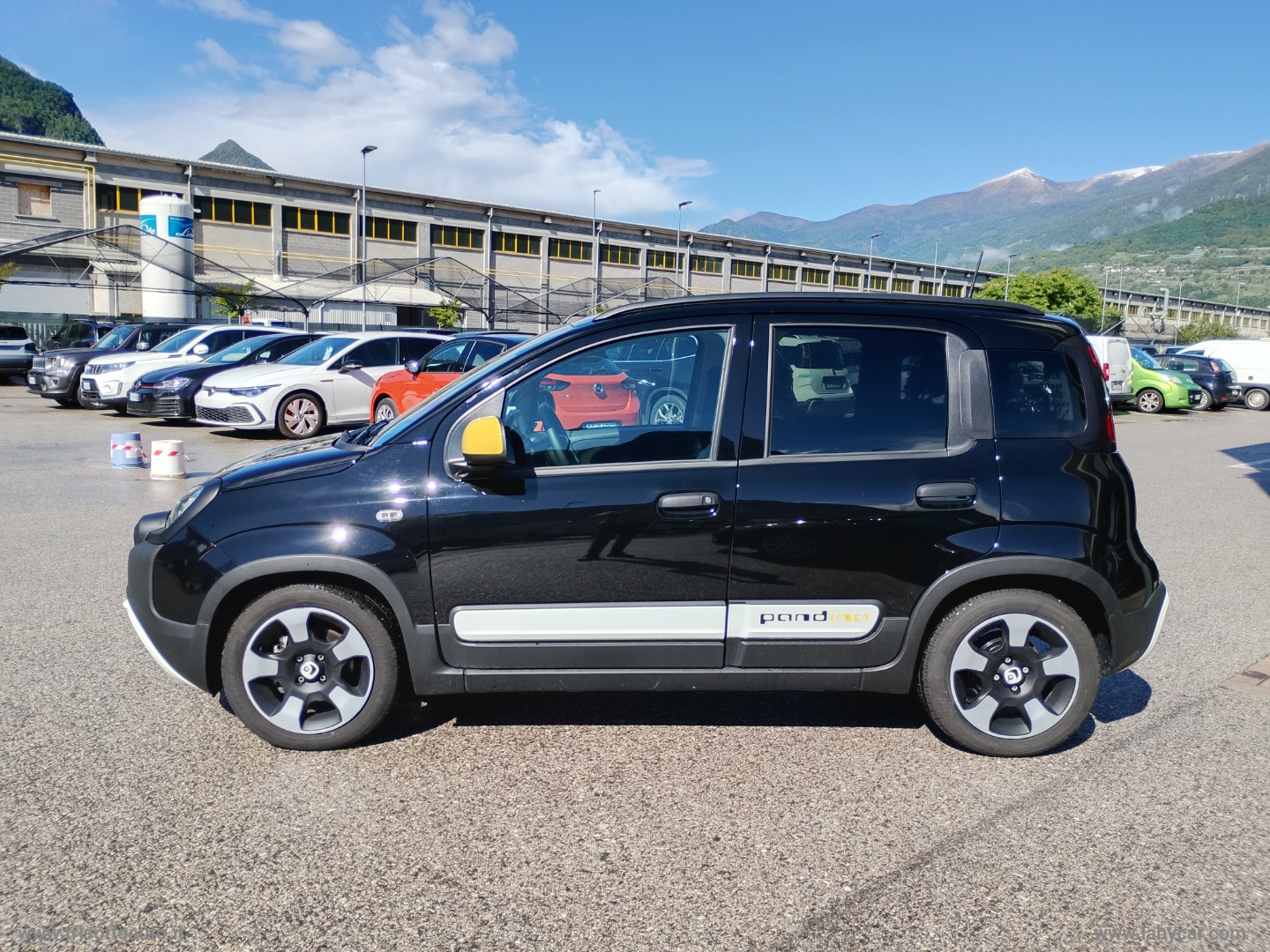 Panda 1.0 FireFly Hybrid 70CV Pandina VARI COLORI - immagine 3