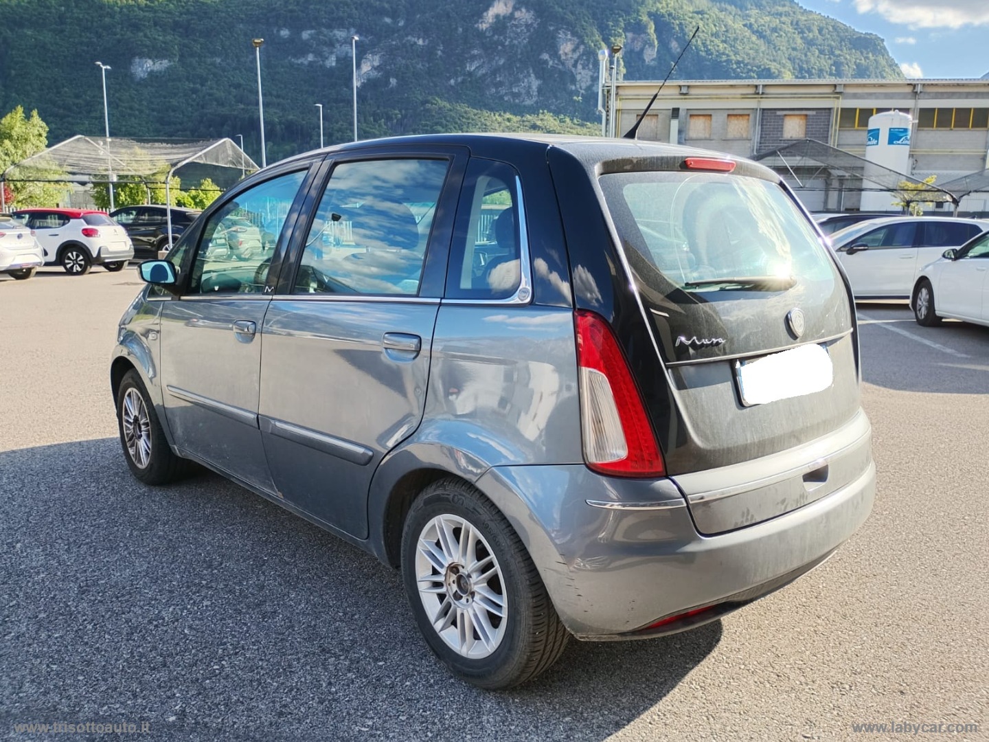 Musa 1.4 BZ/GPL Oro - immagine 3