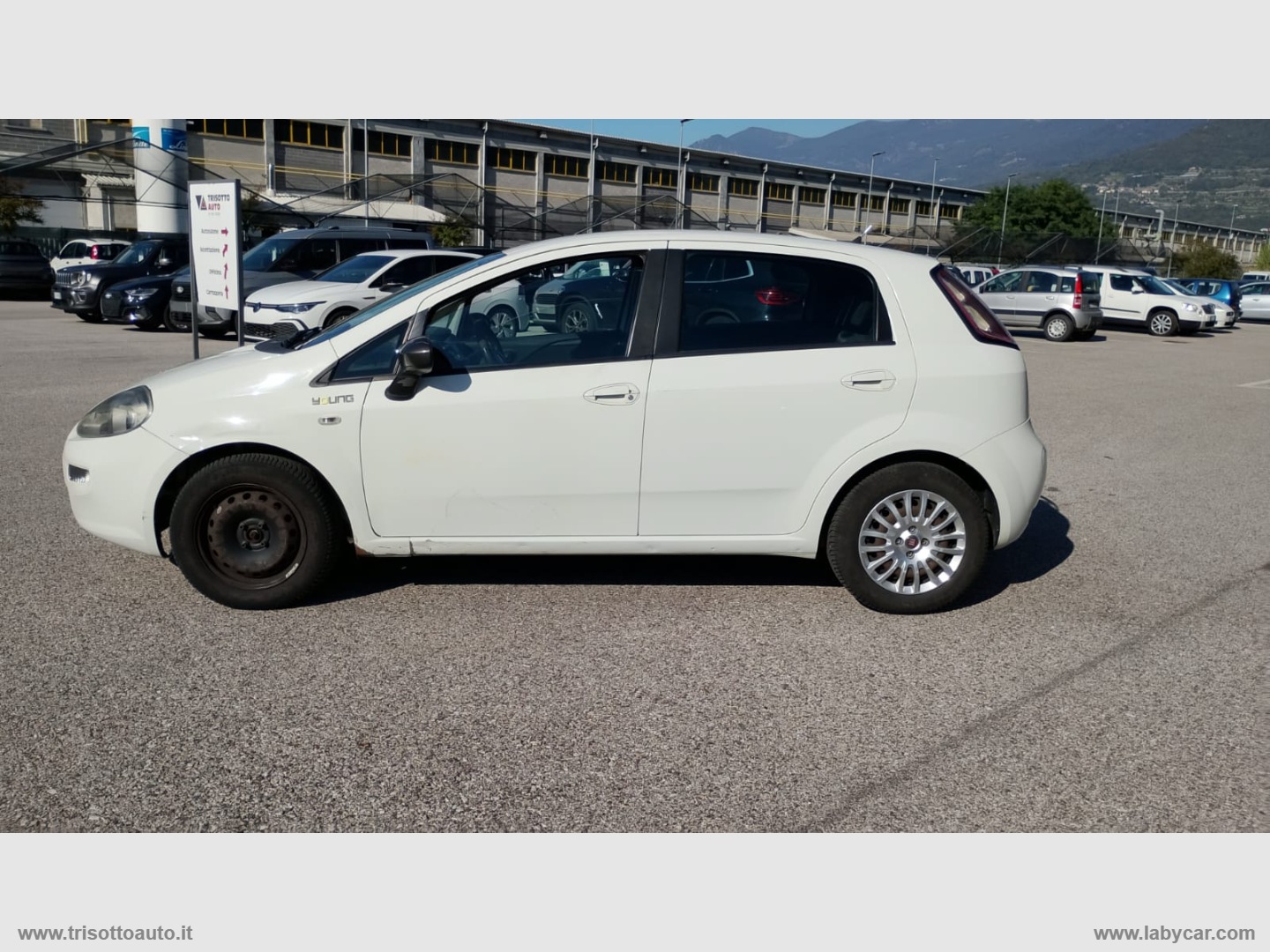 Punto 1.2 8V 5p. Young - immagine 3