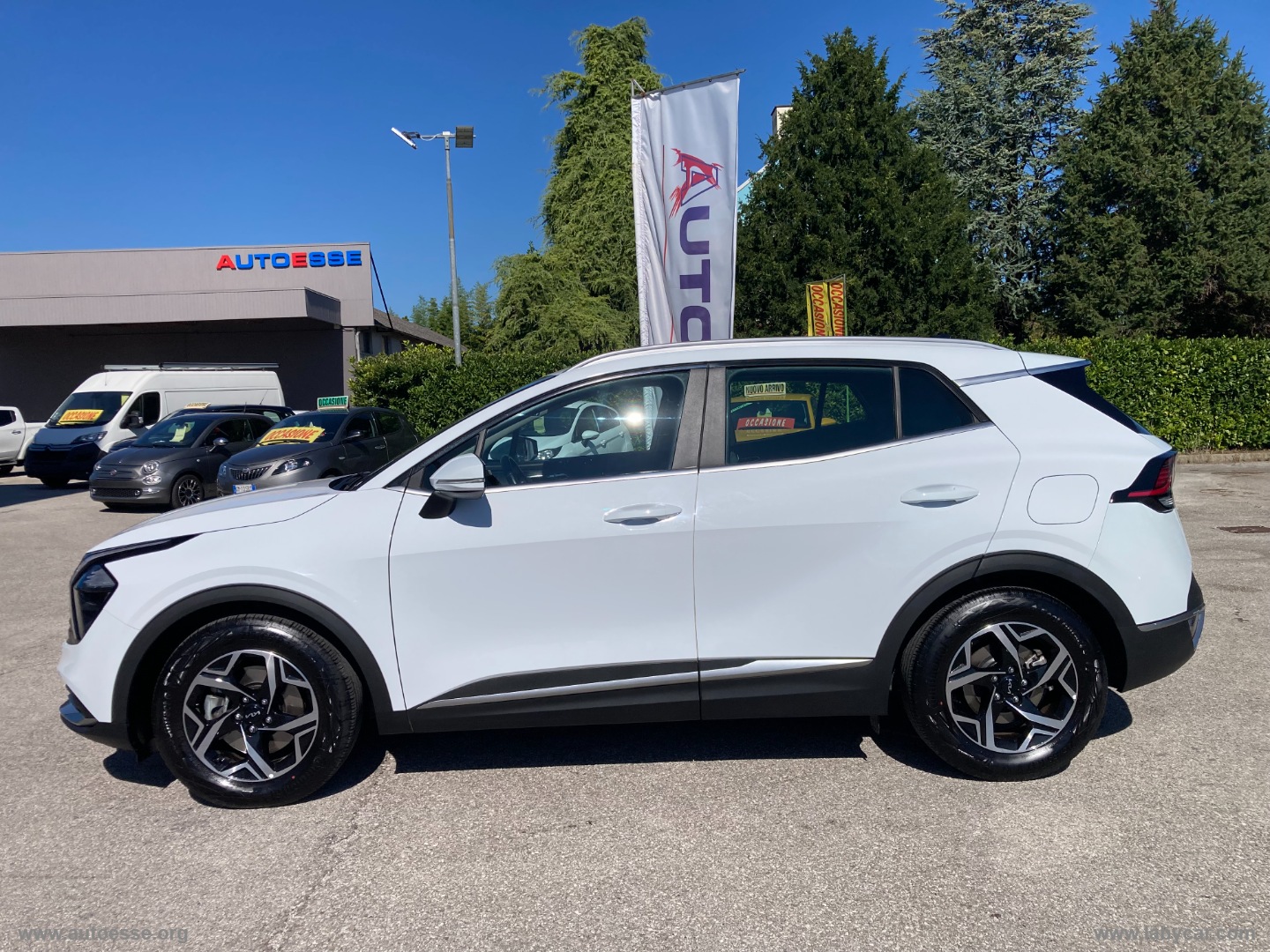 Sportage 1.6 CRDi MHEV Business - immagine 3