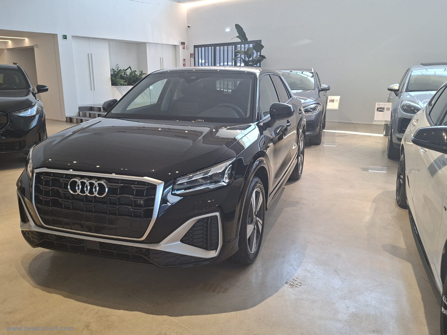 Q2 35 TFSI - immagine 3