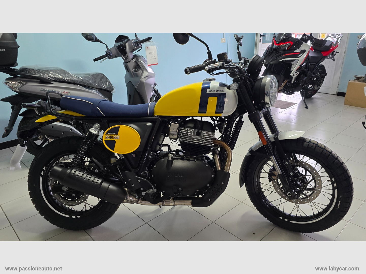 BEAR 650 LIMITED EDITION - immagine 3