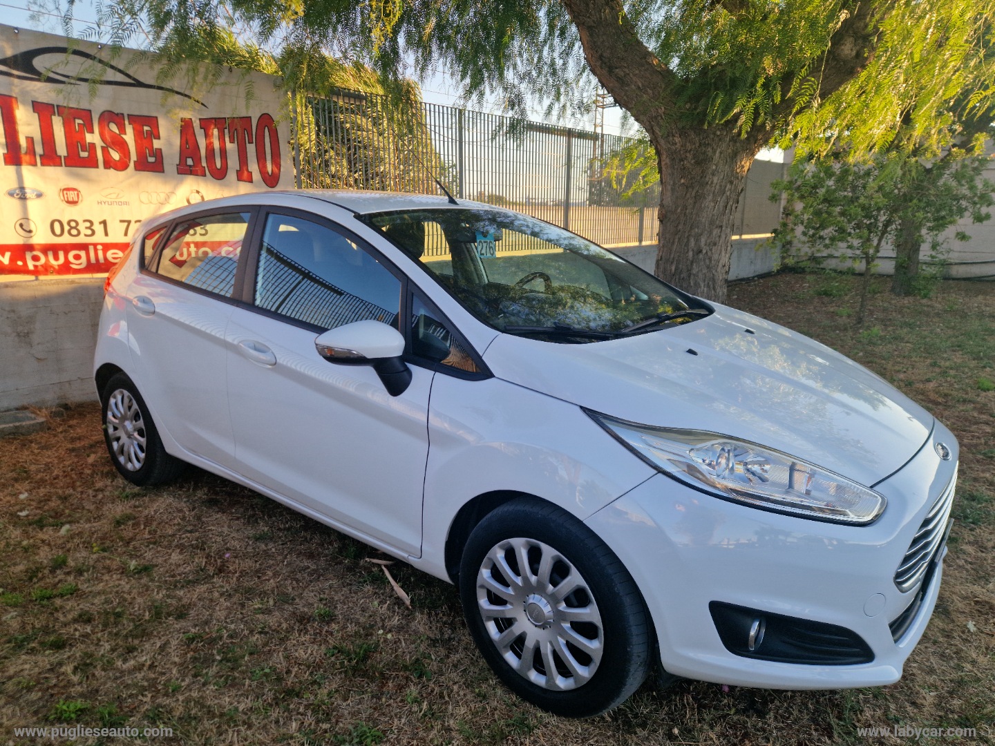 Fiesta 1.5 TDCi 75 CV 5p. - immagine 3