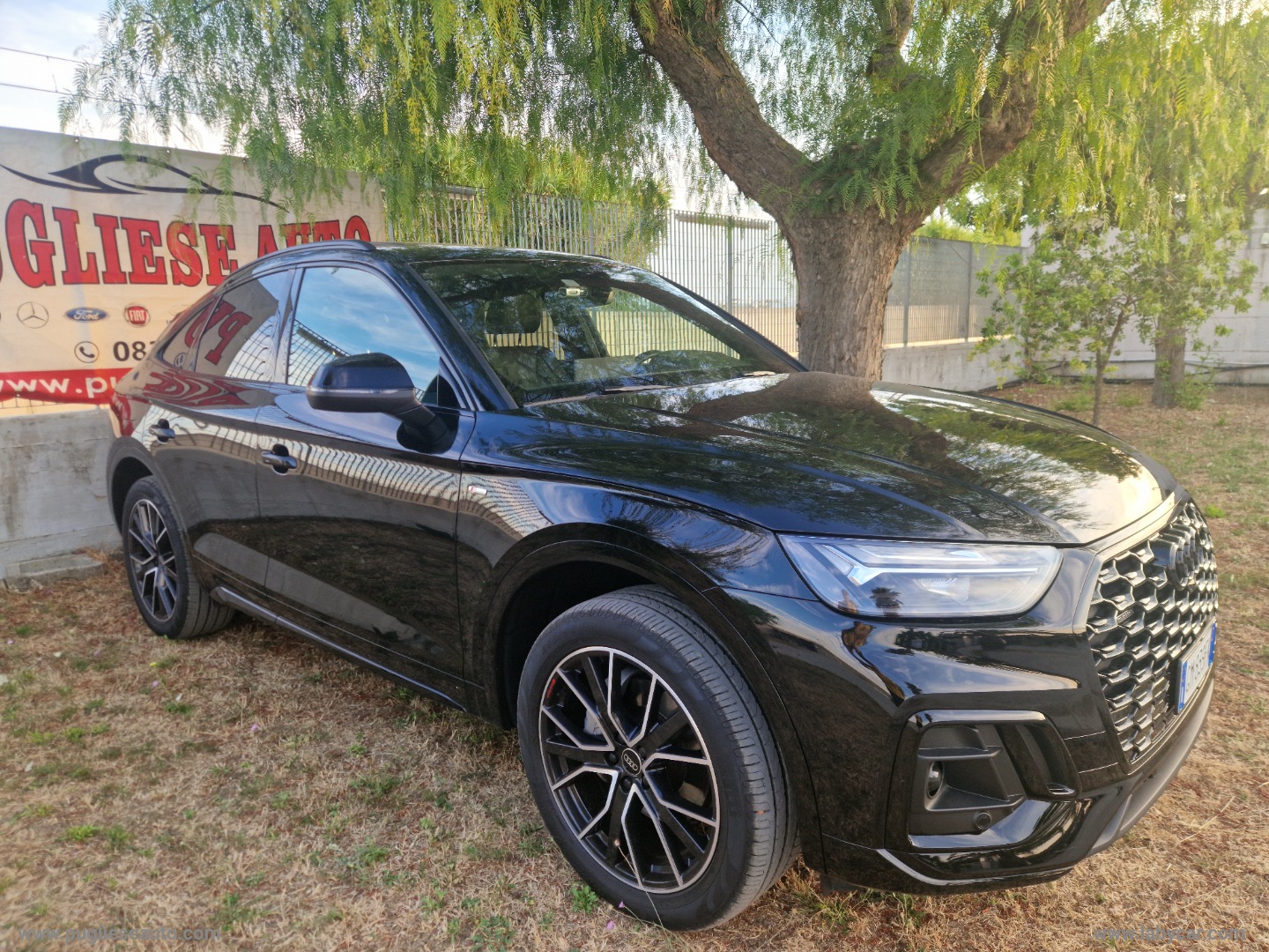 Q5 SPB 40 TDI quattro S tronic S line TETTO - immagine 3