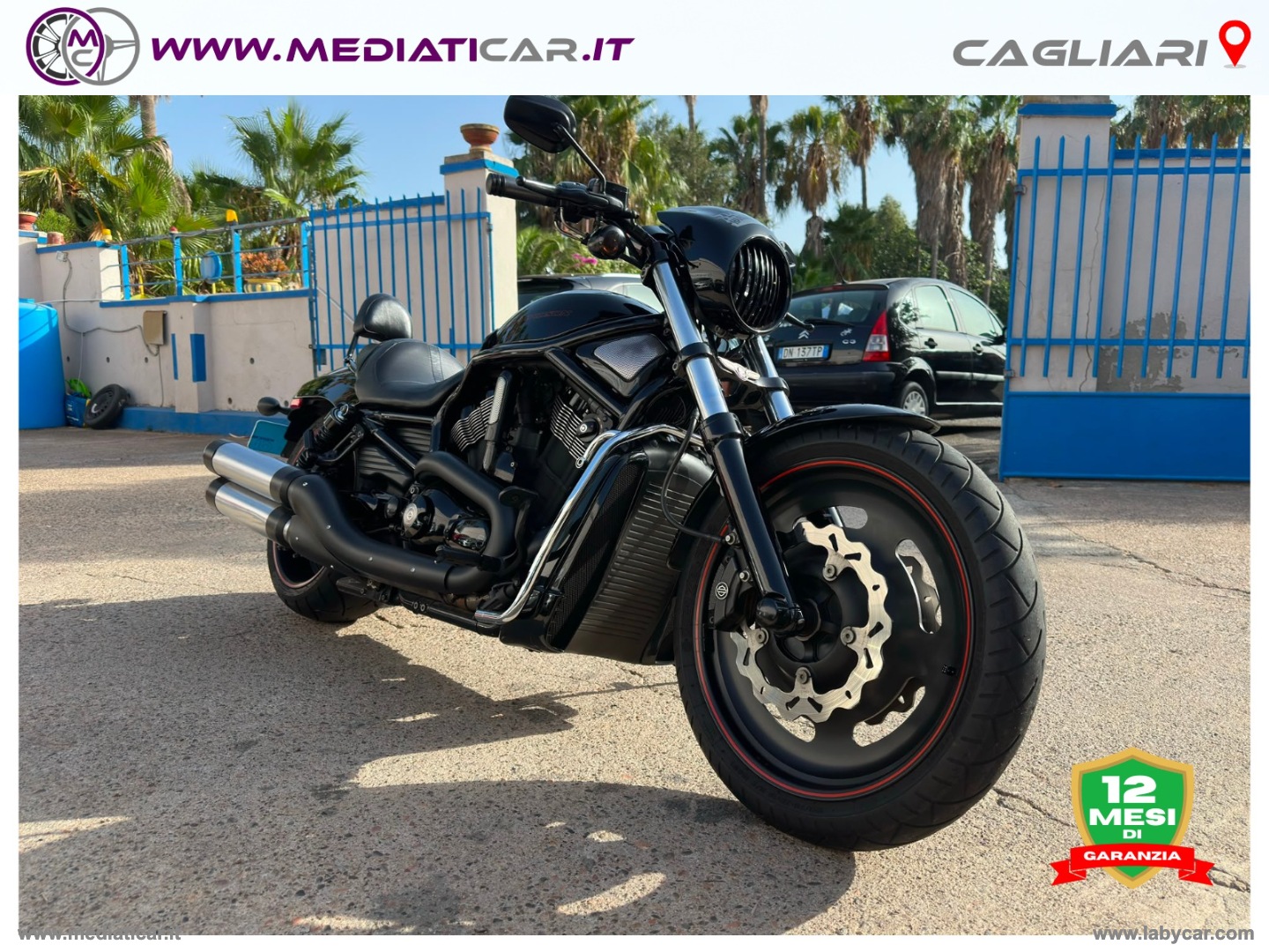 V-Rod - immagine 3