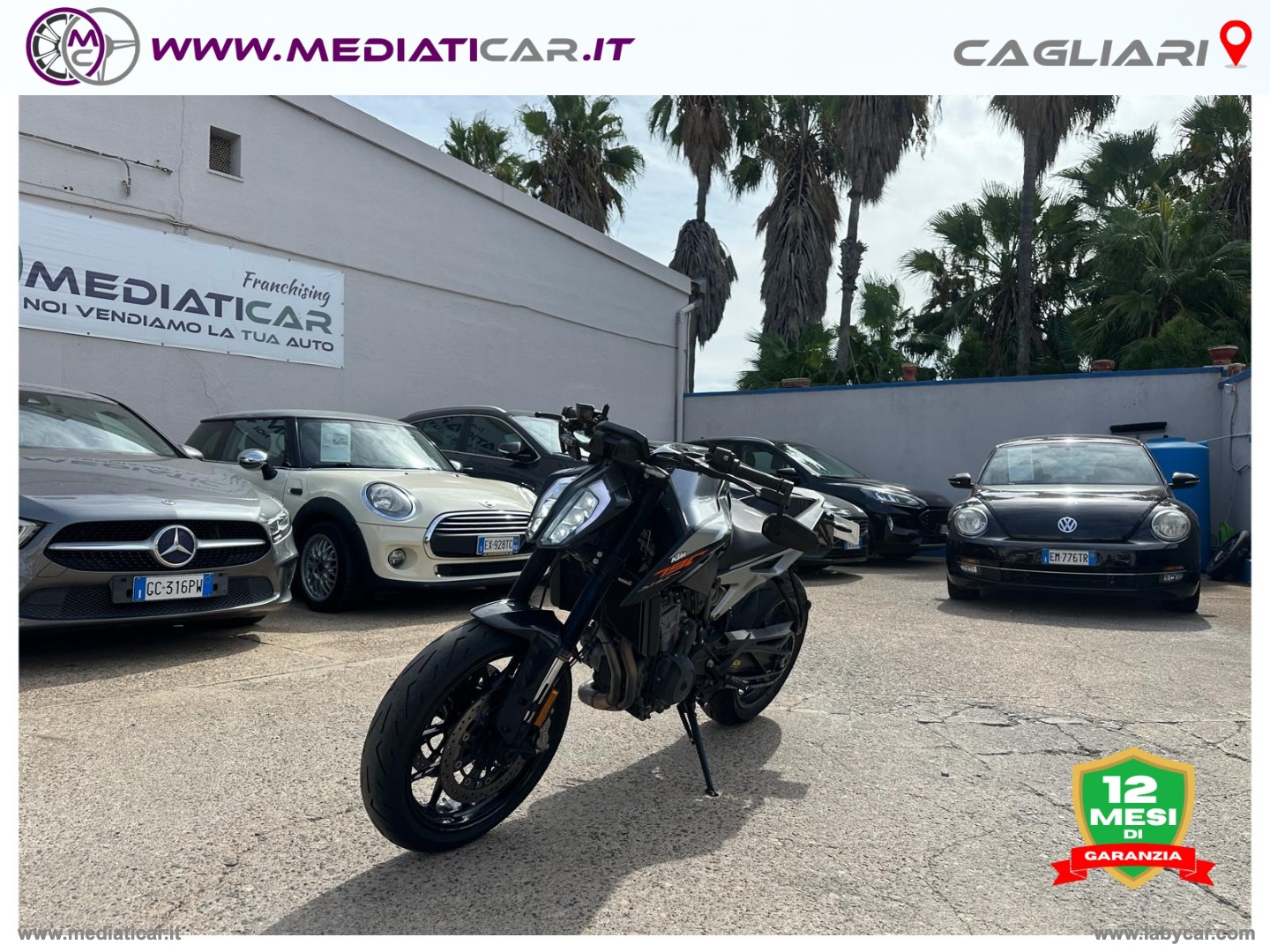 790 Duke - immagine 3