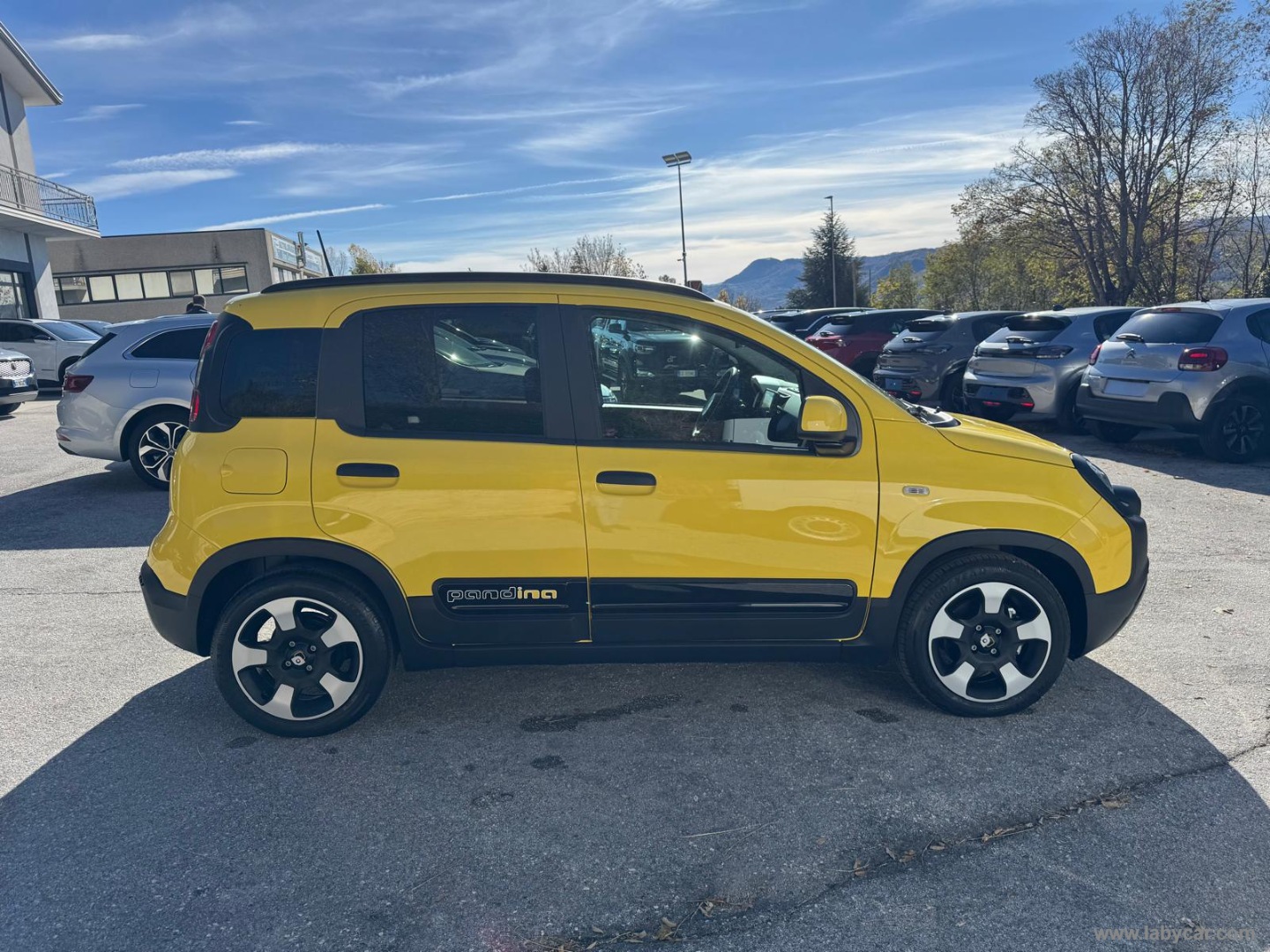 Fiat Panda Cross 1.0 FireFly S&S Hybrid PANDINA - Immagine 3