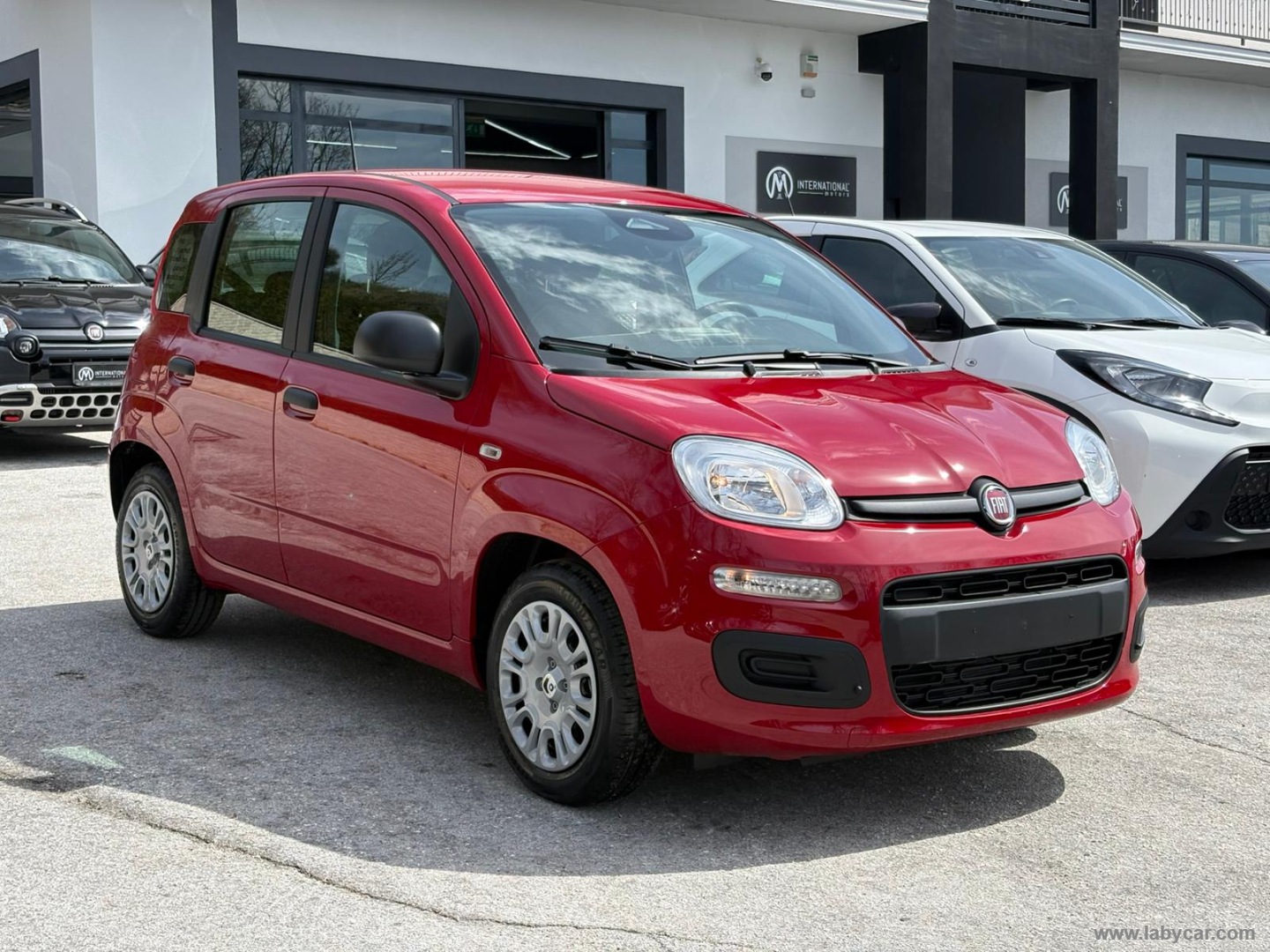 Panda 1.0 FireFly S&S Hybrid Icon - immagine 3