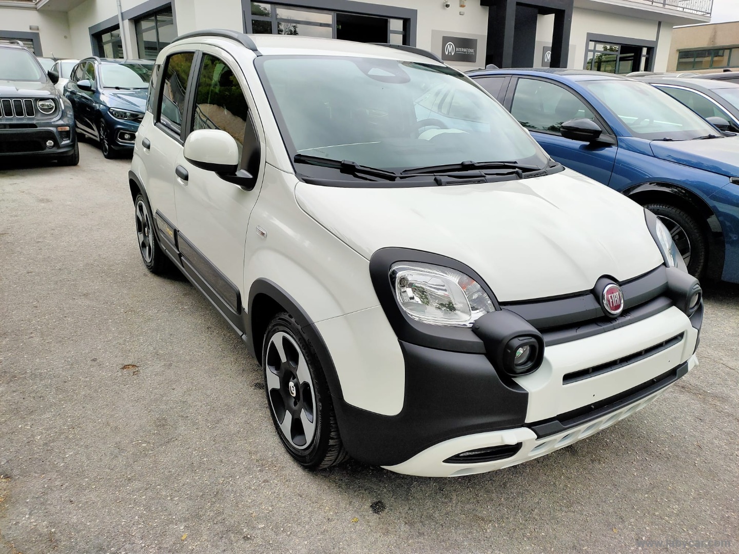 Fiat Panda 1.0 FireFly S&S Hybrid Pandina - Immagine 3