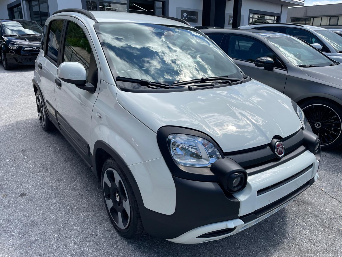 Fiat Panda 1.0 FireFly S&S Hybrid Pandina - Immagine 3