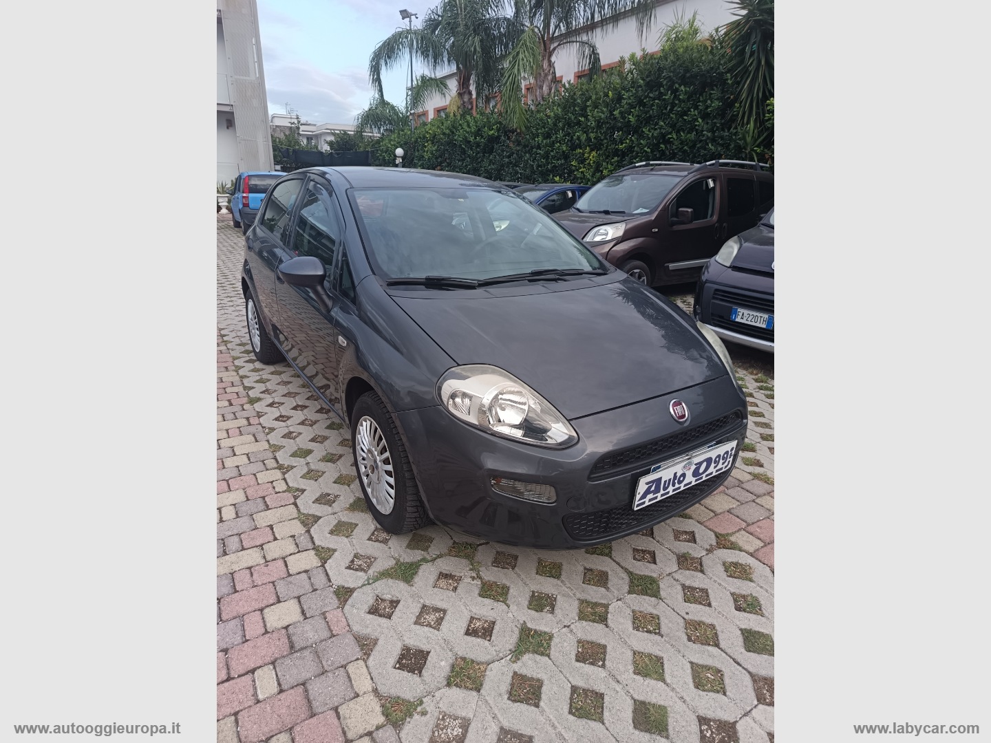 Punto 1.4 8V 5p. Easypower Street - immagine 3