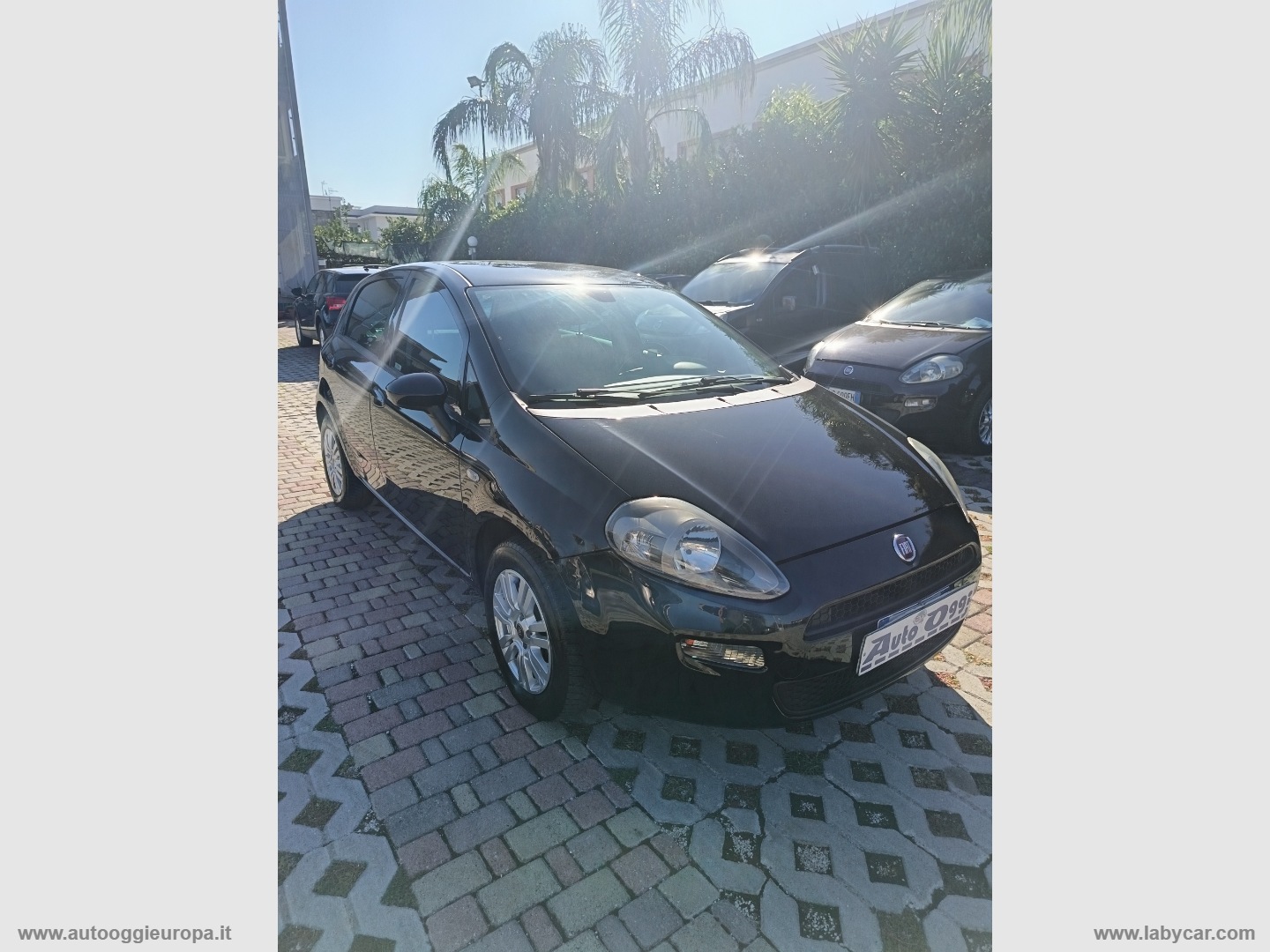 Punto 1.4 8V 5p. Easypower Lounge - immagine 3