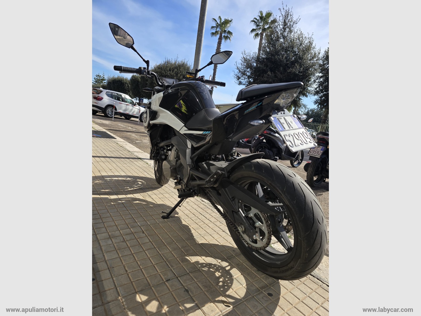 650NK - immagine 3