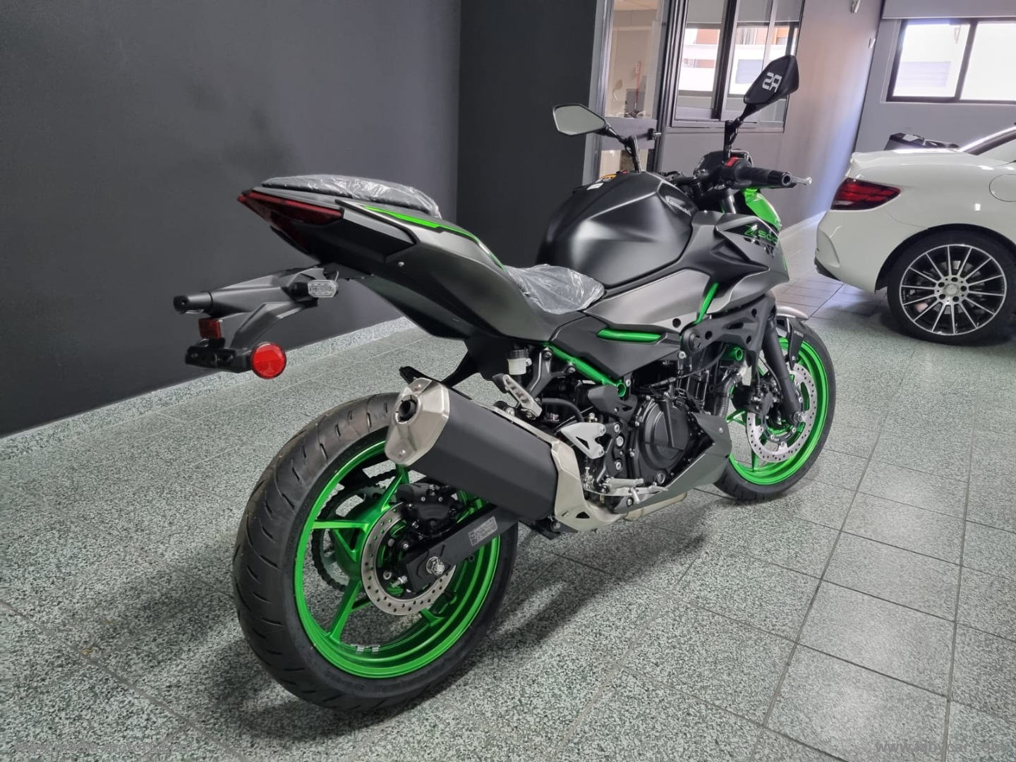 Z 500 SE - immagine 3