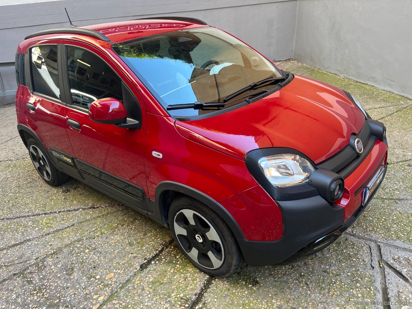 Panda Cross 1.0 FireFly S&S Hybrid - immagine 3