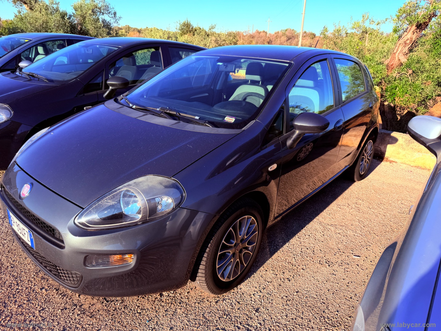 Punto 1.3 MJT II S&S 95 CV 5p. Lounge - immagine 3