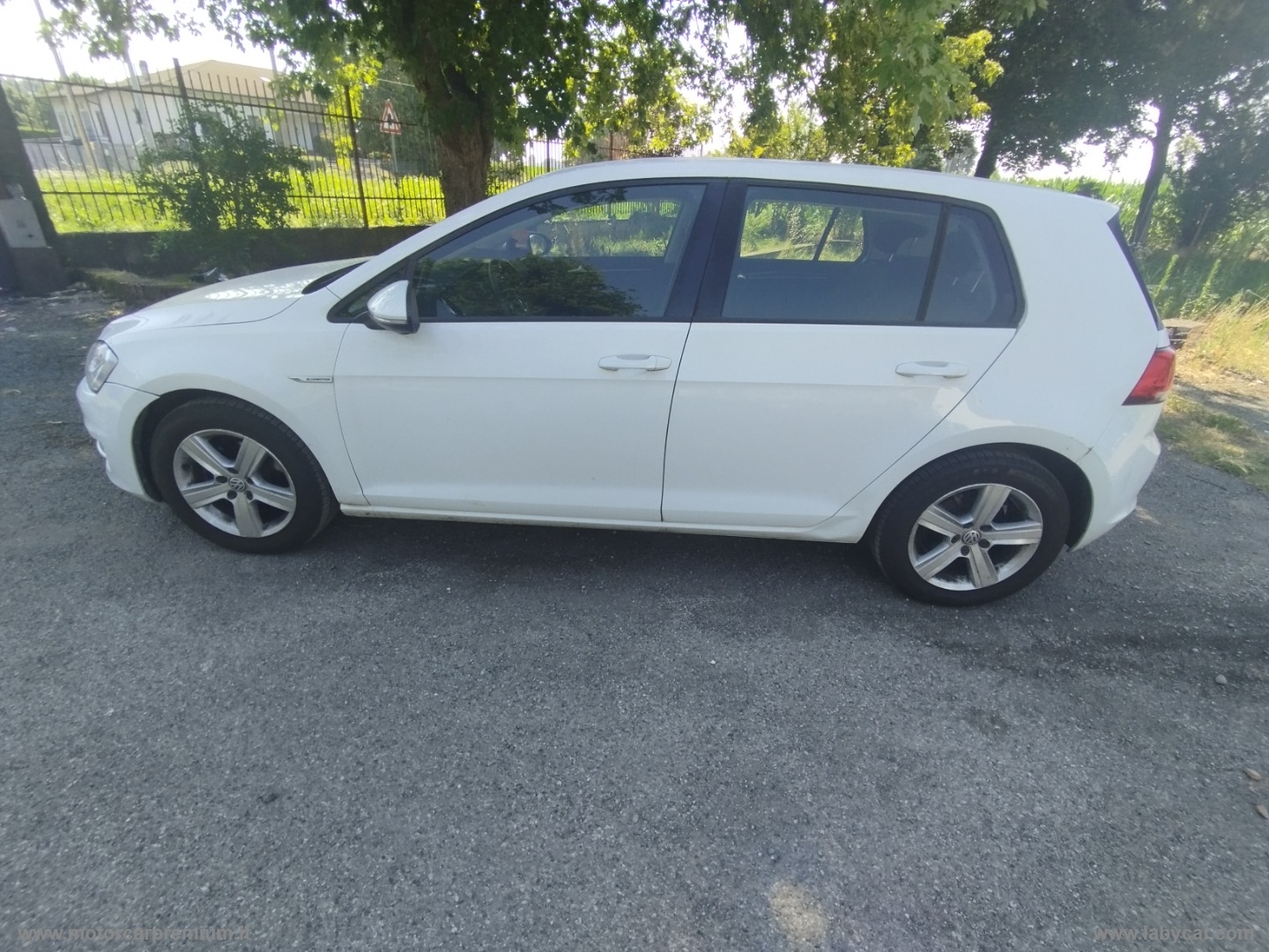 Golf Bus. 1.4 TGI 5p. Highline BM - immagine 3