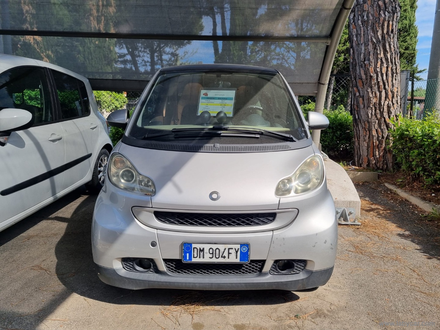 fortwo 1000 52 kW coupé passion - immagine 3