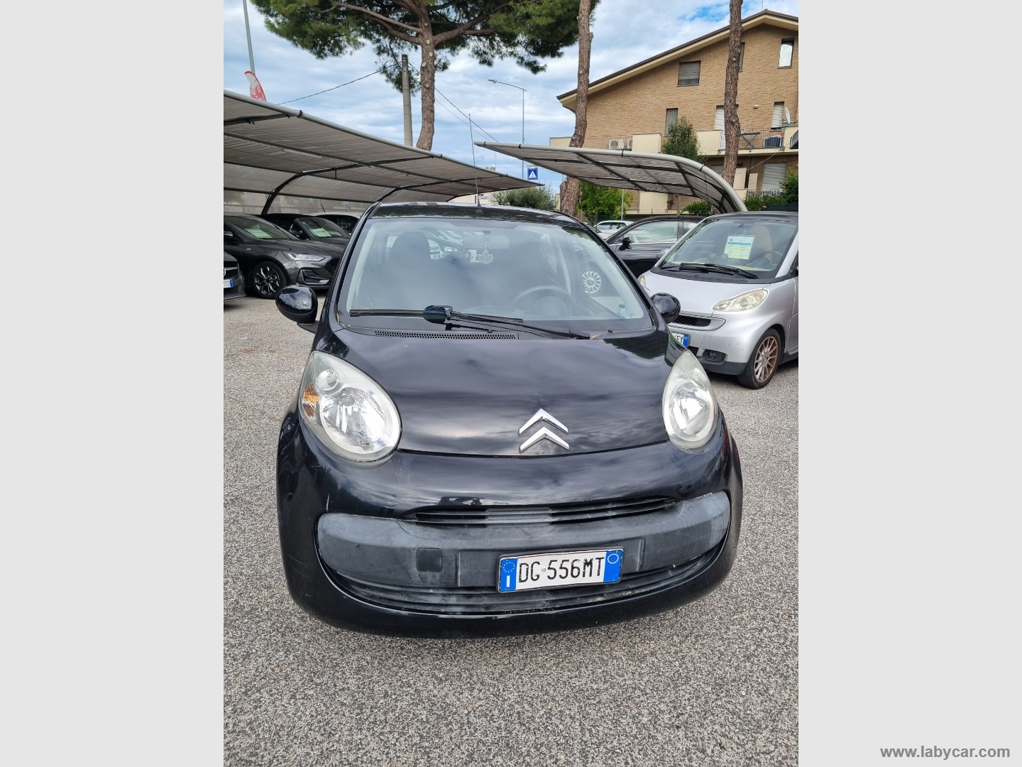 C1 1.0 5p. Pinko - immagine 3