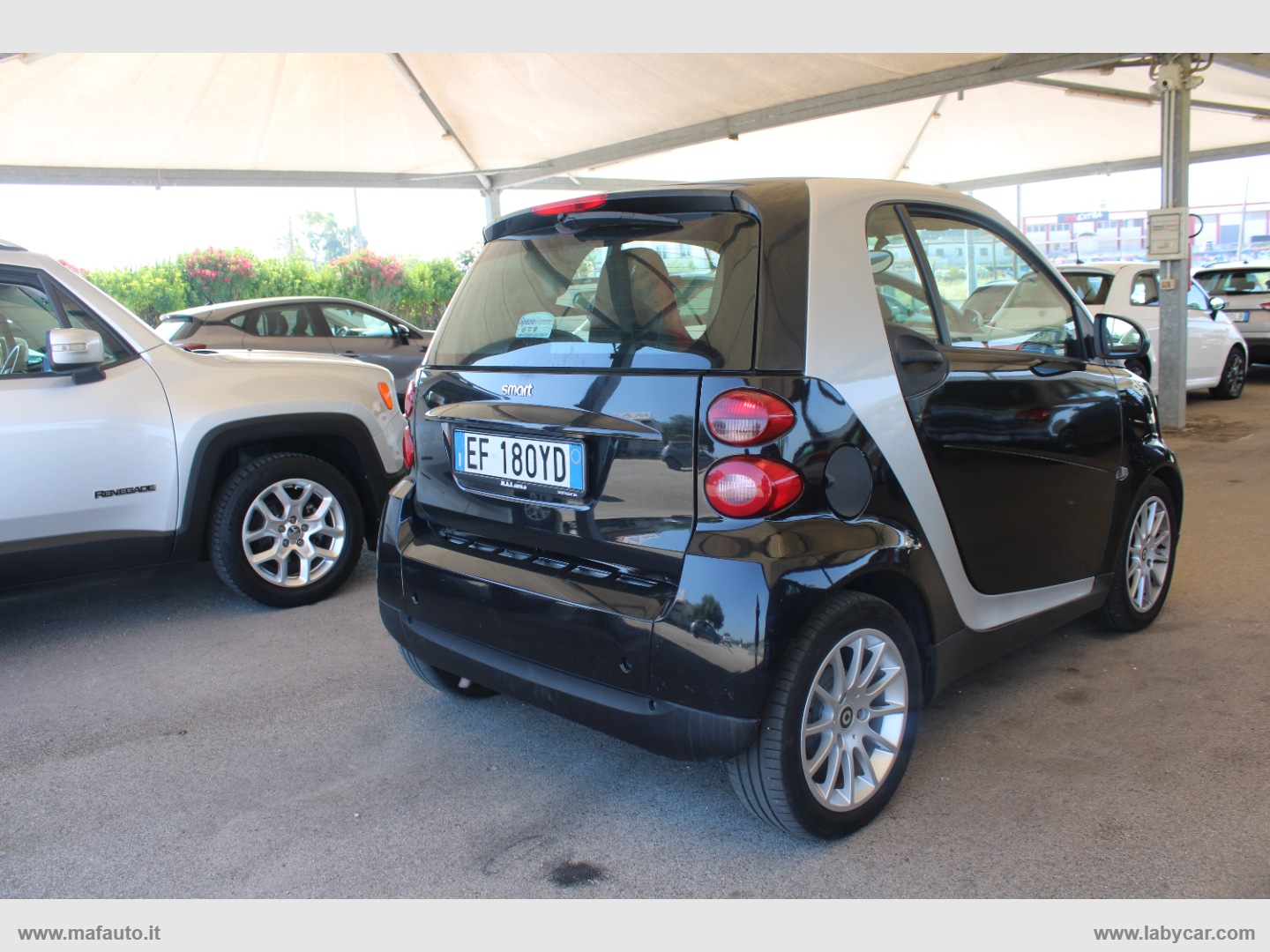 fortwo 800 33 kW coupé passion cdi - immagine 4