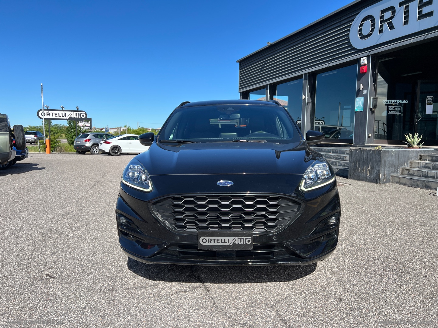 Kuga 1.5 EcoBlue 120 CV aut. 2WD ST-Line N1 AUTOCARRO +IVA - immagine 4