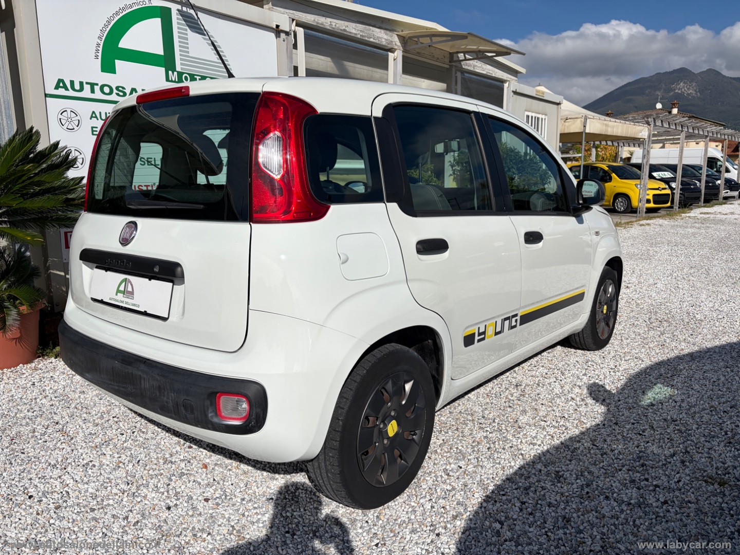 Panda 1.2 Young - immagine 4